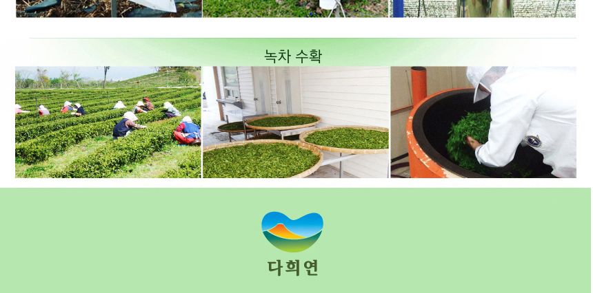 다희연 5월 가루 녹차 50g 제주도 오가닉 분말/녹차/엽차/잎차/녹차잎차/녹차잎/어린잎녹차/한국전통차/고