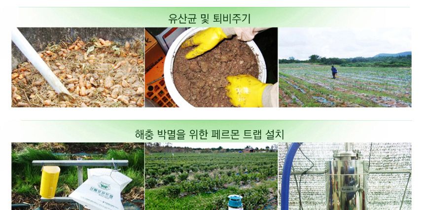 다희연 녹차 티백 5g x30포 제주도 오가닉 사각 잎차/다희연차/다희연녹차/새순녹차/제주잎차/녹차세트/녹