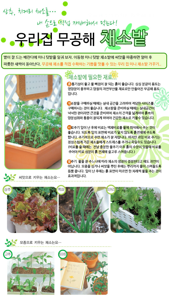 미니텃밭받침대 채소키우기 화분물받침대 토기색/화분받침/사각화분받침대/플라스틱화분/플라스틱화분받침/