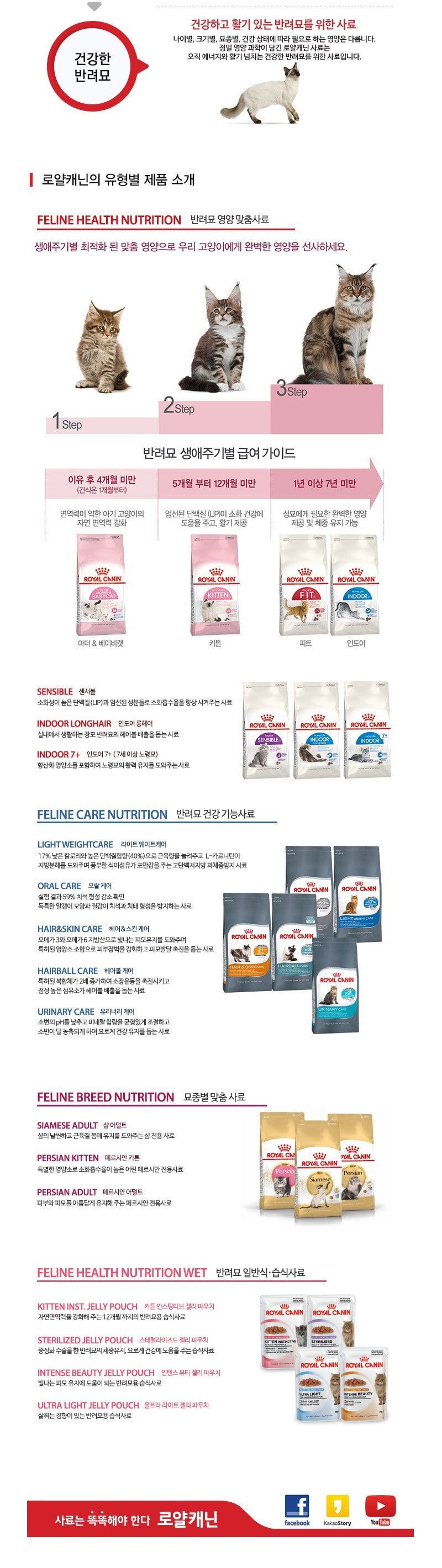 로얄캐닌 캣 인도어7+ 1.5kg/사료/고양이밥/고양이사료/캣사료/고급사료/길냥이사료/길냥이밥/건식사료/로