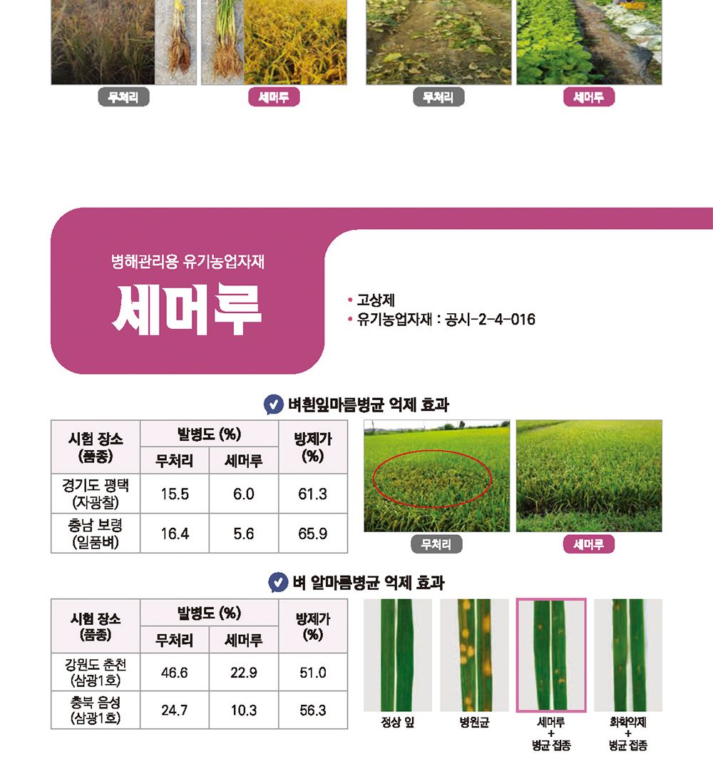 NEW 2025 원예 텃밭 분갈이 노고지리 250g/생육촉진비료/생육비료/분갈이비료/비료/원예비료/작물비료/식물
