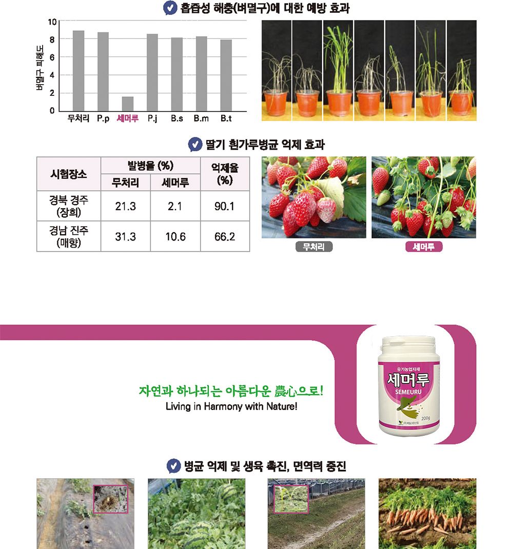 NEW 2025 원예 텃밭 분갈이 노고지리 250g/생육촉진비료/생육비료/분갈이비료/비료/원예비료/작물비료/식물