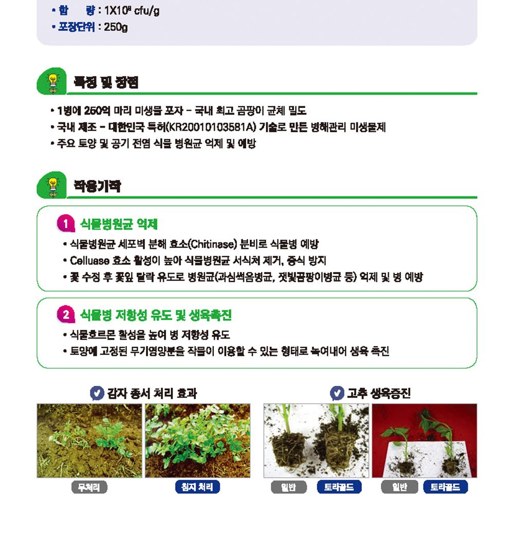 NEW 2025 원예 텃밭 분갈이 케이엠 250g/유기질비료/분갈이비료/비료/원예비료/작물비료/식물키우기/식물비