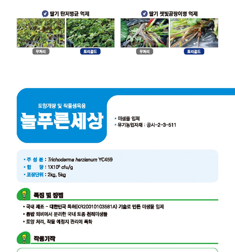 NEW 2025 원예 텃밭 분갈이 토리골드 250g/생육촉진비료/생육비료/분갈이비료/비료/원예비료/작물비료/식물