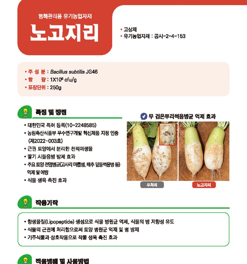 NEW 2025 원예 텃밭 분갈이 토리골드 250g/생육촉진비료/생육비료/분갈이비료/비료/원예비료/작물비료/식물