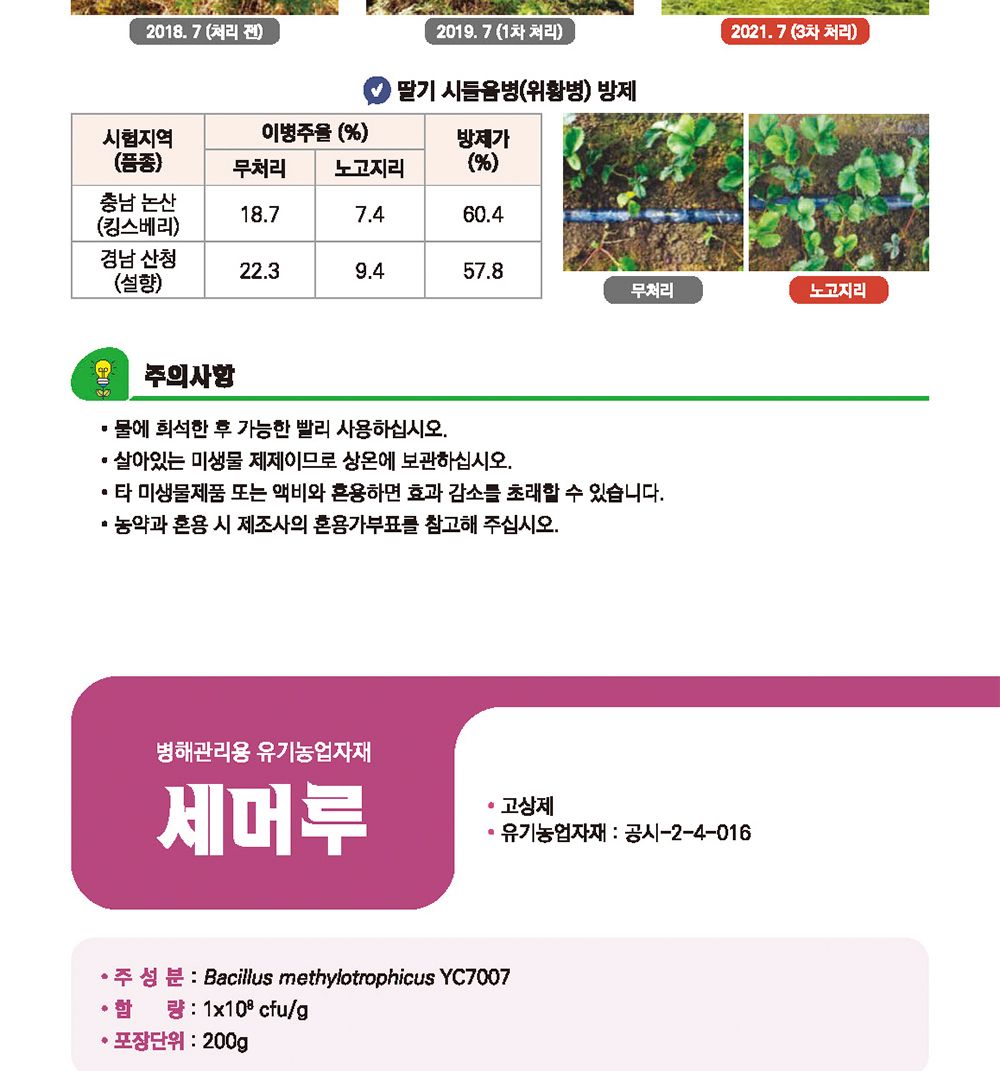 NEW 2025 원예 텃밭 분갈이 토리골드 250g/생육촉진비료/생육비료/분갈이비료/비료/원예비료/작물비료/식물