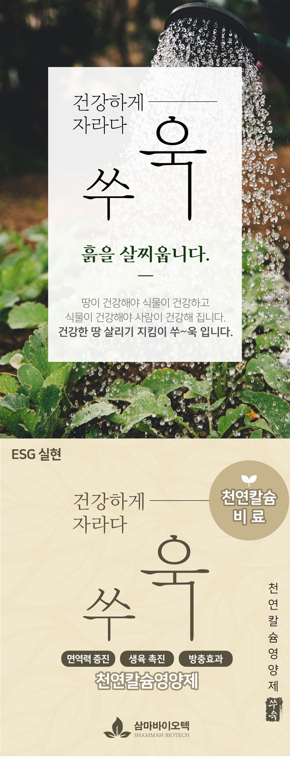 NEW 2025 원예 텃밭 분갈이 천연칼슘비료 600g/유기질비료/분갈이비료/비료/원예비료/작물비료/식물키우기/
