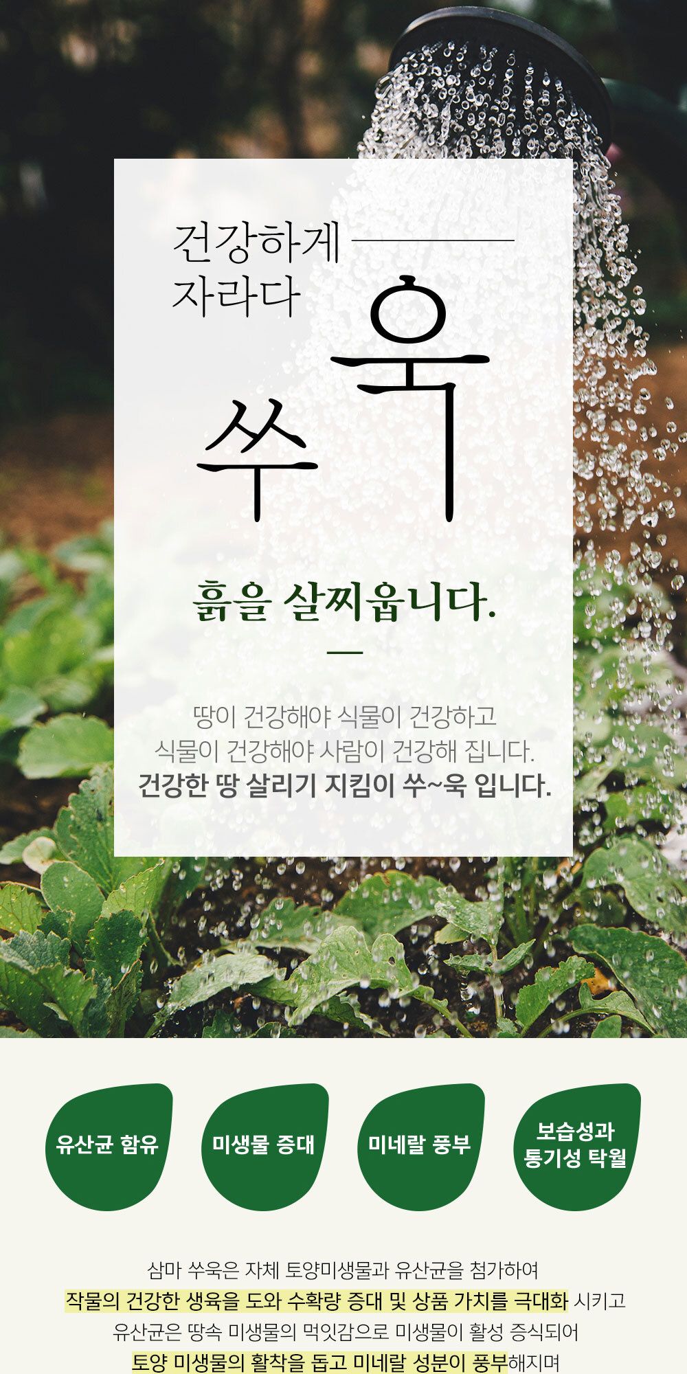 NEW 2025 원예 텃밭 분갈이 과토비 5kg/유기질비료/분갈이비료/비료/원예비료/작물비료/식물키우기/식물비