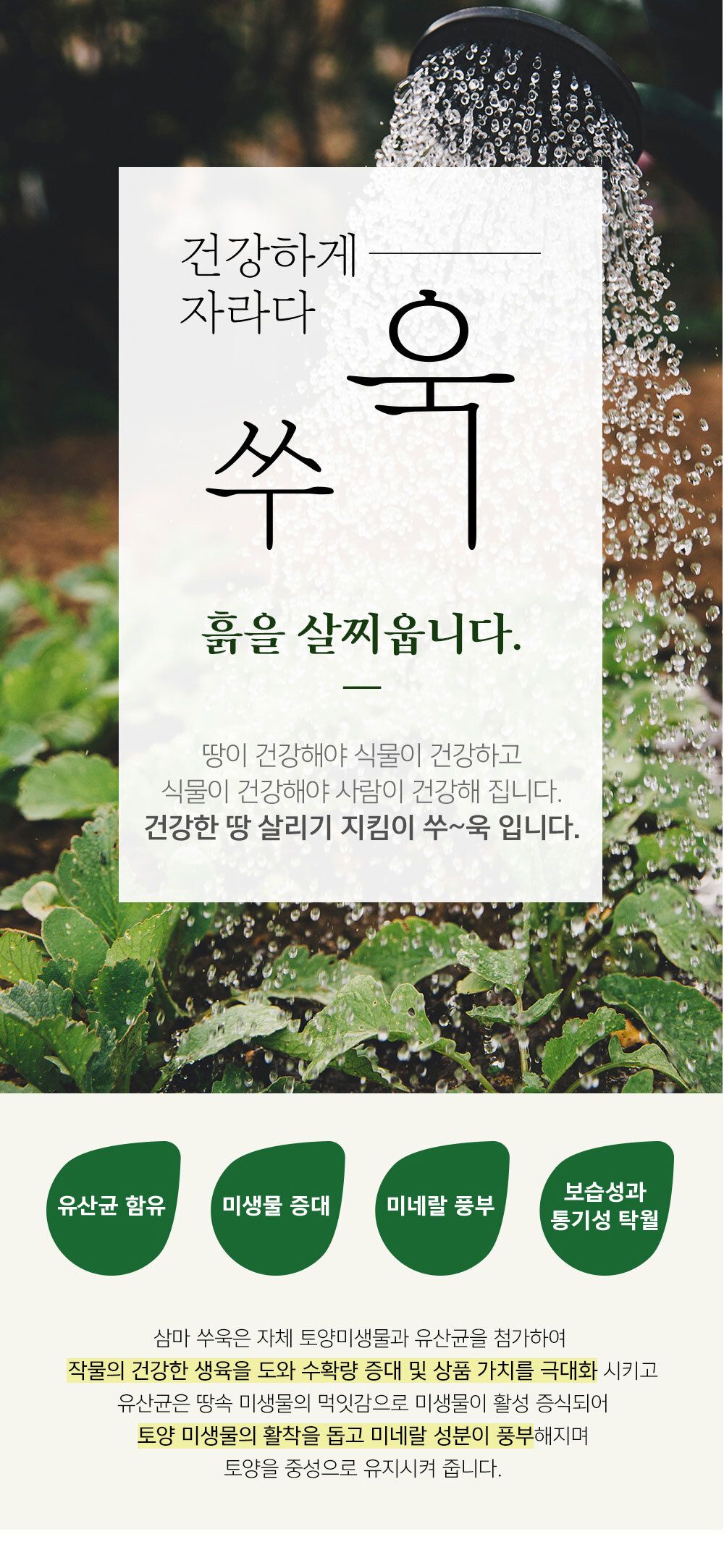 NEW 2025 원예 텃밭 분갈이 그레뉼비료 500g/유기질비료/분갈이비료/비료/원예비료/작물비료/식물키우기/식
