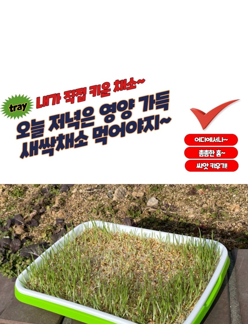 가정용모종텃밭 새싹 씨앗 식물재배기 트레이/식물재배기/가정용/야채/실내/상추/채소/키우기/씨앗/텃밭/트