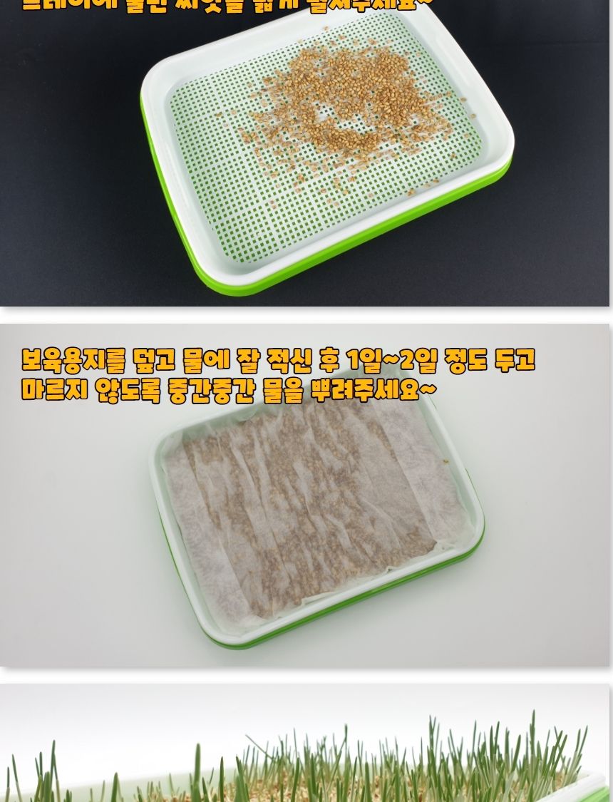 가정용모종텃밭 새싹 씨앗 식물재배기 트레이/식물재배기/가정용/야채/실내/상추/채소/키우기/씨앗/텃밭/트