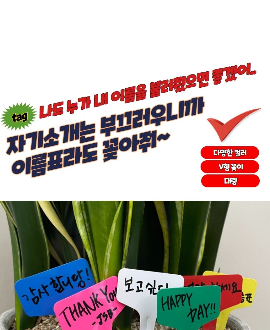 이름표스티커 화분픽 T형 식물 라벨 이름표 대 100P/식물이름표/식물네임텍/식물네임택/네임택/네임텍/이름