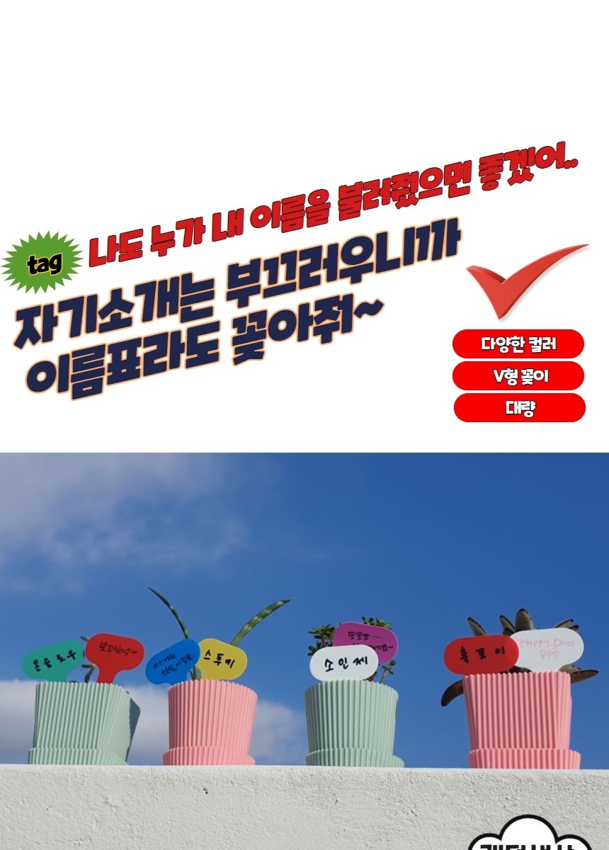 보호이름표 화분픽 T형 식물 라벨 이름표 중 100P/식물이름표/식물네임텍/식물네임택/네임택/네임텍/이름표