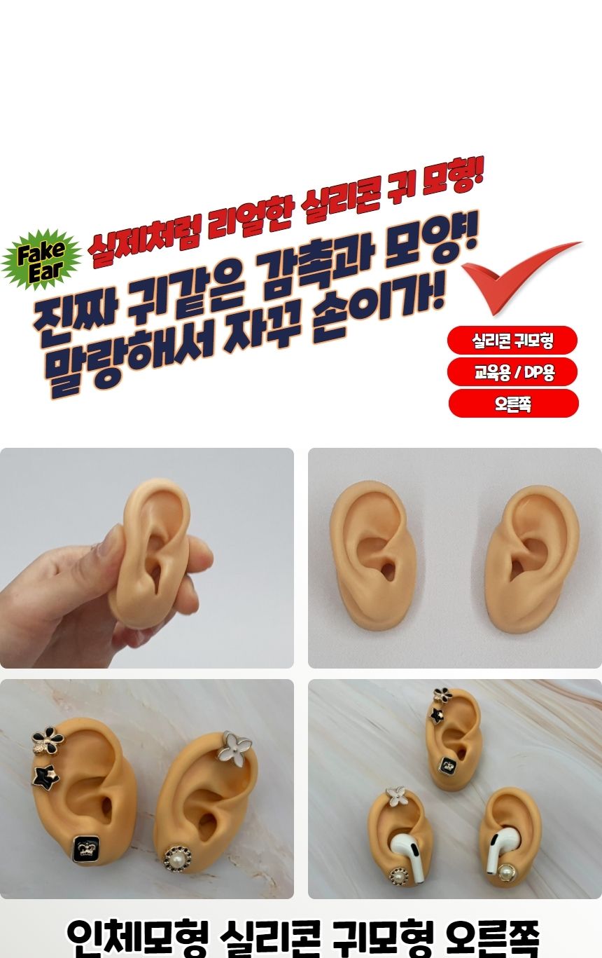 실리콘인체모형 인체모형 실리콘 귀모형 오른쪽/인체모형/건축모형재료/뼈모양/피젯/뽑기기계/가챠기계/인