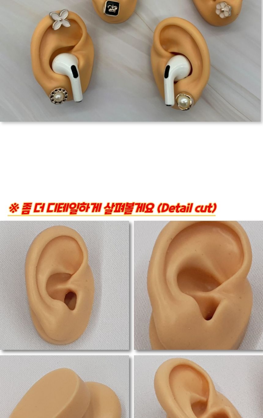 실리콘인체모형 인체모형 실리콘 귀모형 오른쪽/인체모형/건축모형재료/뼈모양/피젯/뽑기기계/가챠기계/인