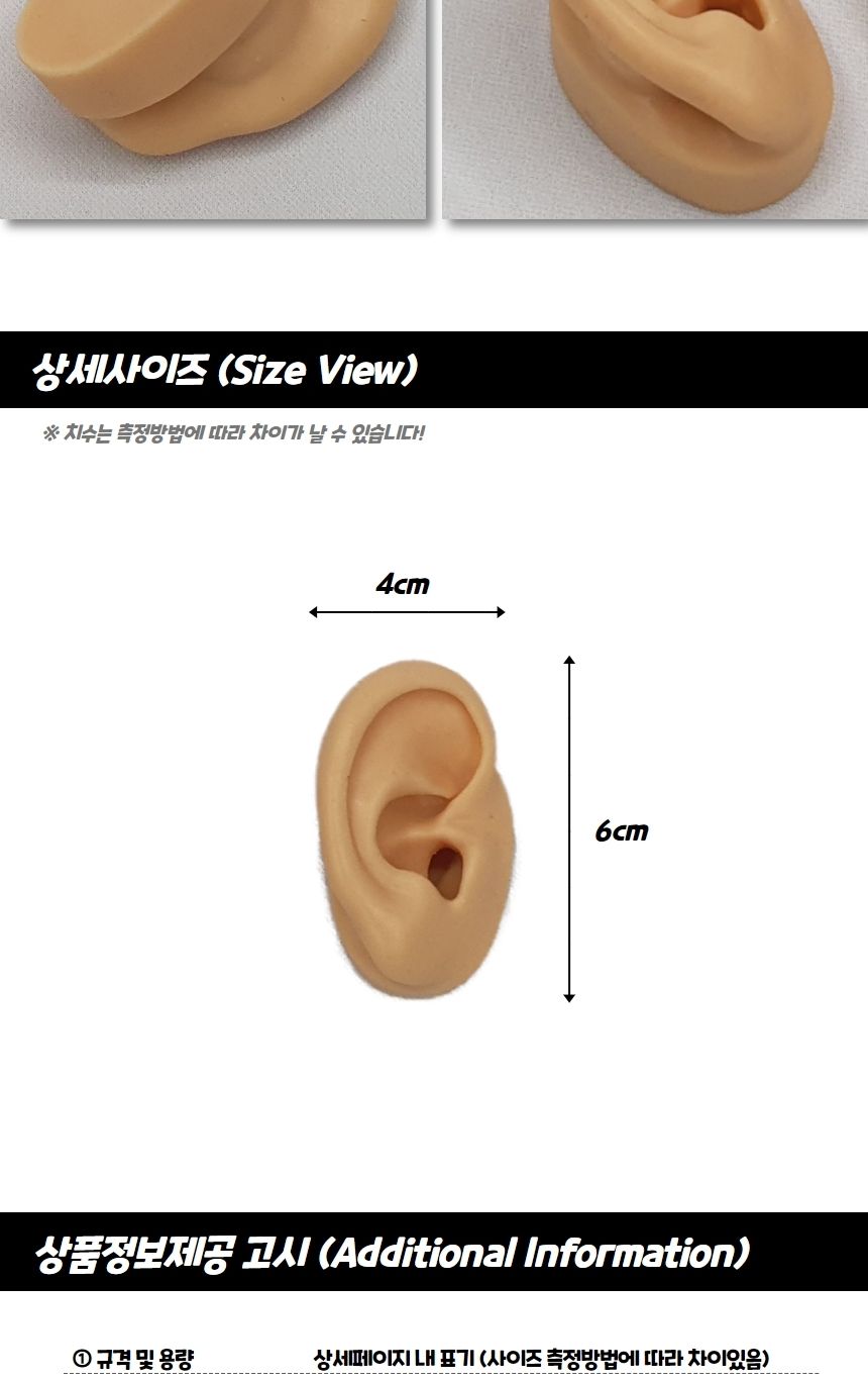 실리콘인체모형 인체모형 실리콘 귀모형 오른쪽/인체모형/건축모형재료/뼈모양/피젯/뽑기기계/가챠기계/인