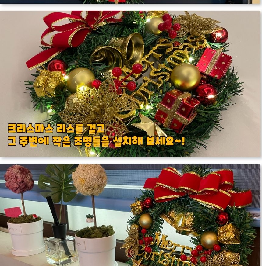 성탄절장식리스 크리스마스 레드리본 오너먼트 리스/오너먼트/리스/장식/크리스마스/소품/트리/골드리본/벽