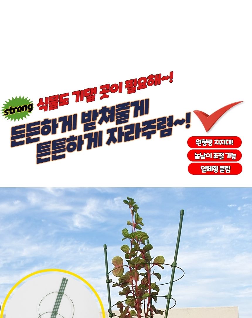 식물정리대 원형 화분 식물지지대 45cm/지주대/사용이편리한/식물키우기/깔끔하고편리/넝쿨/혁신적인/행복