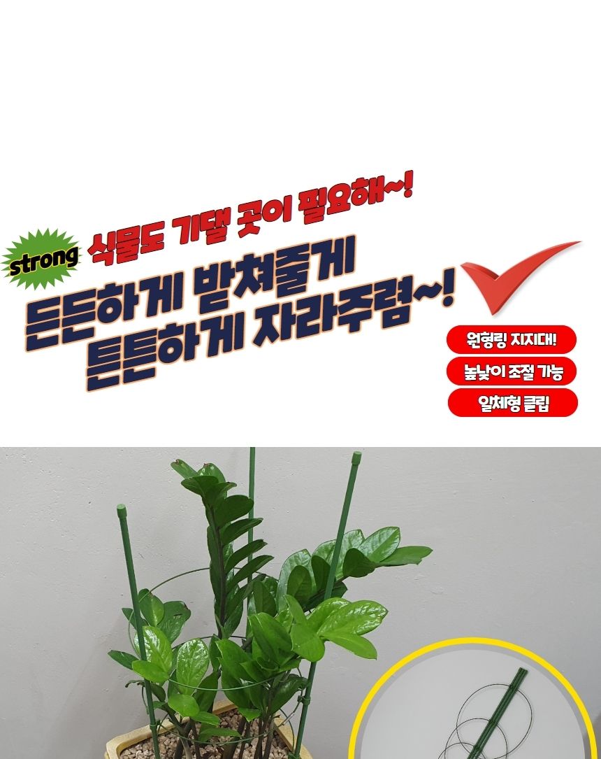 깔끔지지대 원형 화분 식물지지대 60cm/지주대/사용이편리한/식물키우기/깔끔하고편리/넝쿨/혁신적인/행복
