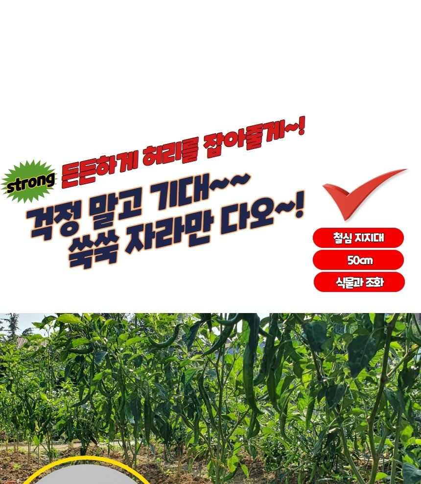 안정감받침대 텃밭 화분 식물지지대 50cm 10P/지주대/사용이편리한/식물키우기/깔끔하고편리/넝쿨/혁신적인