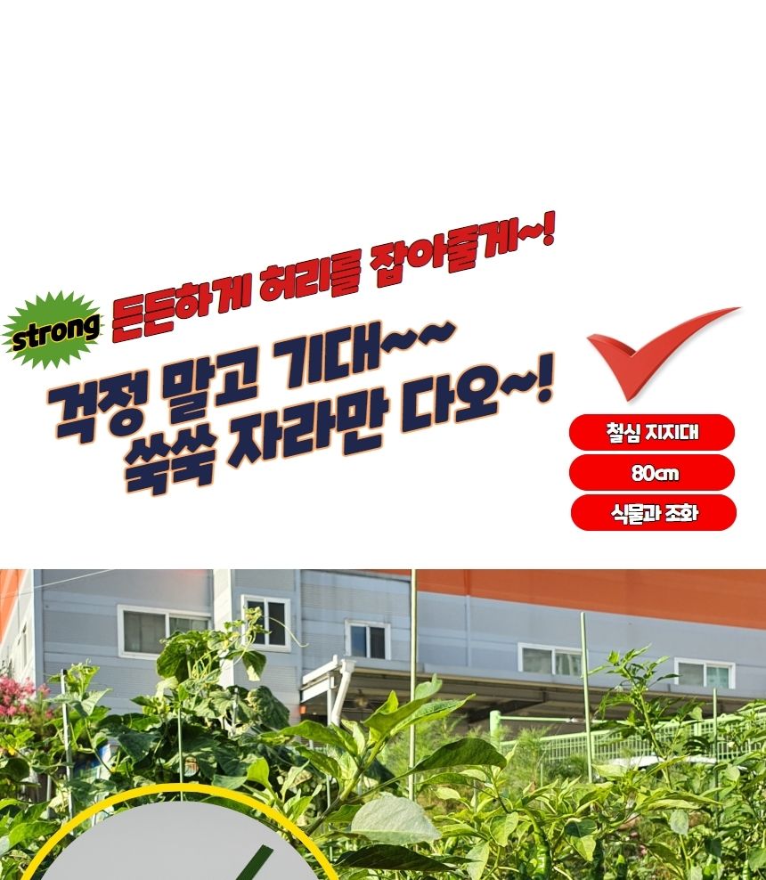 원예도구 텃밭 화분 식물지지대 80cm 10P/지주대/사용이편리한/식물키우기/깔끔하고편리/넝쿨/혁신적인/행