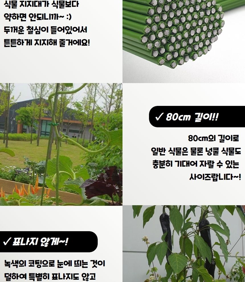 원예도구 텃밭 화분 식물지지대 80cm 10P/지주대/사용이편리한/식물키우기/깔끔하고편리/넝쿨/혁신적인/행