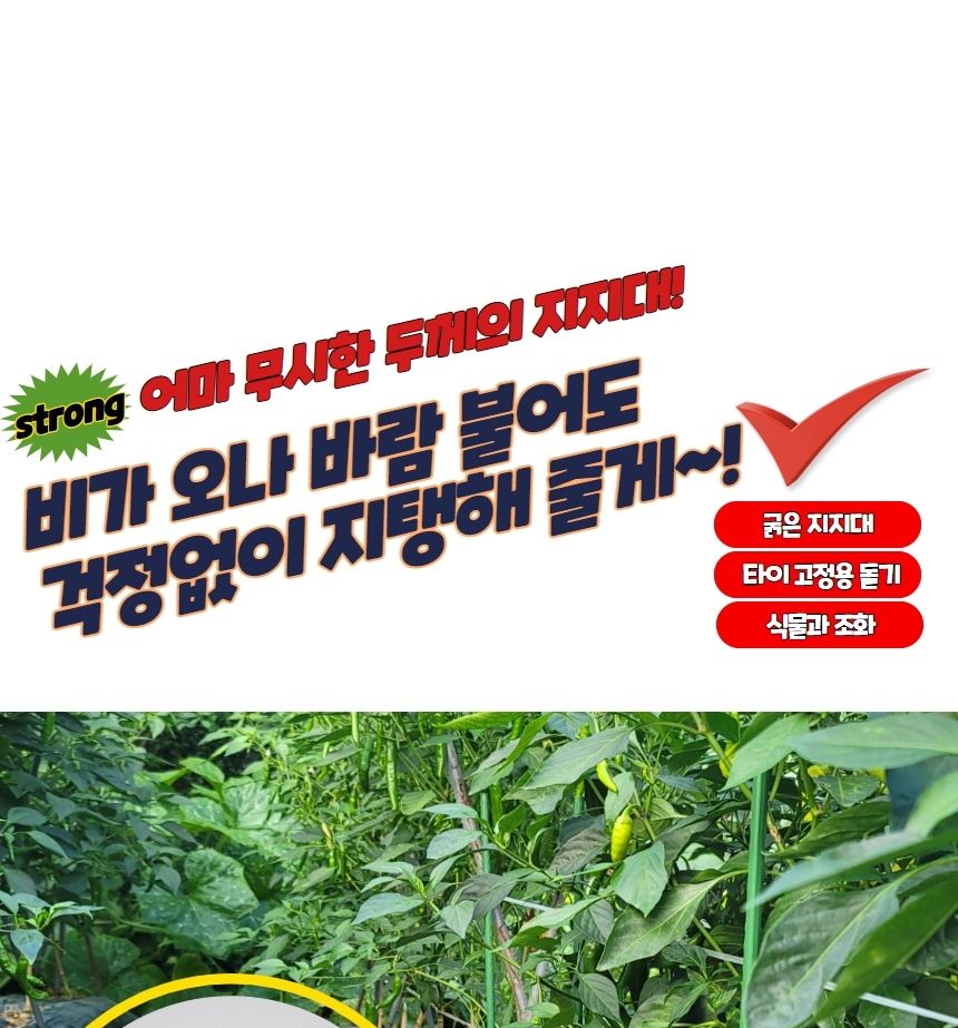 안심지지대 굵은 텃밭 화분 식물지지대 60cm 5P/지주대/사용이편리한/식물키우기/깔끔하고편리/넝쿨/혁신적