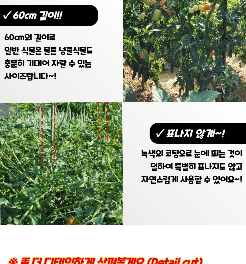 안심지지대 굵은 텃밭 화분 식물지지대 60cm 5P/지주대/사용이편리한/식물키우기/깔끔하고편리/넝쿨/혁신적