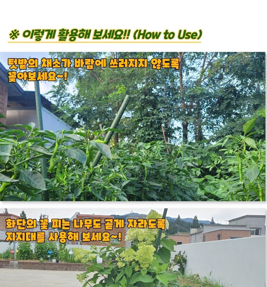 안심지지대 굵은 텃밭 화분 식물지지대 60cm 5P/지주대/사용이편리한/식물키우기/깔끔하고편리/넝쿨/혁신적