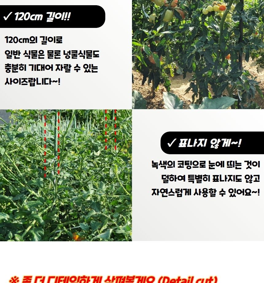 돌기지주대 굵은 텃밭 화분 식물지지대 120cm 3P/지주대/사용이편리한/식물키우기/깔끔하고편리/넝쿨/혁신