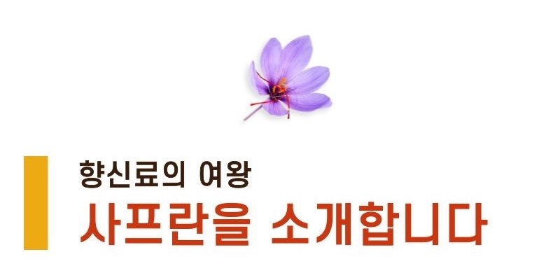 서피란 샤프란향신료 0.25g saffron tea 사프란차/샤프란차/차/꽃향차/향기좋은차/티/꽃티/서피란티/샤프란