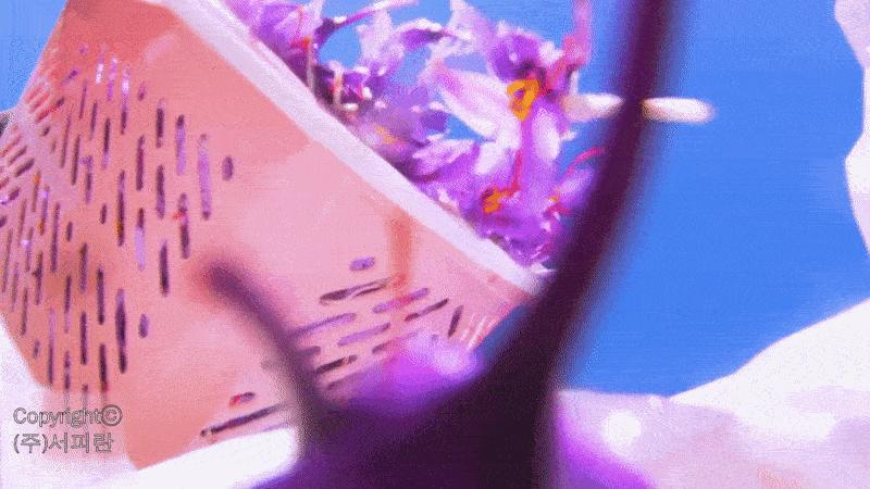 서피란 샤프란향신료 0.25g saffron tea 사프란차/샤프란차/차/꽃향차/향기좋은차/티/꽃티/서피란티/샤프란