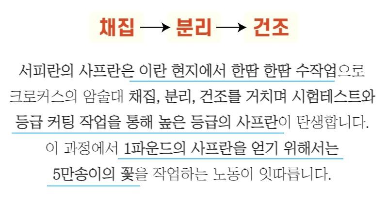 서피란 샤프란향신료 0.25g saffron tea 사프란차/샤프란차/차/꽃향차/향기좋은차/티/꽃티/서피란티/샤프란