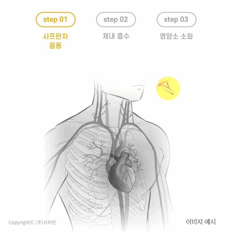 서피란 샤프란향신료 0.25g saffron tea 사프란차/샤프란차/차/꽃향차/향기좋은차/티/꽃티/서피란티/샤프란