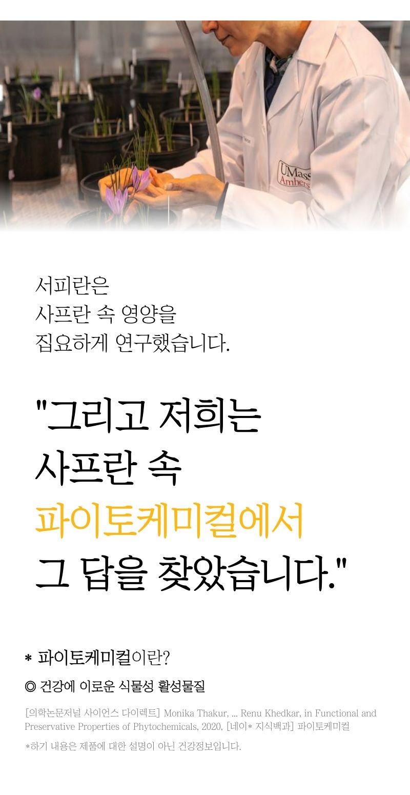 서피란 샤프란향신료 0.25g saffron tea 사프란차/샤프란차/차/꽃향차/향기좋은차/티/꽃티/서피란티/샤프란