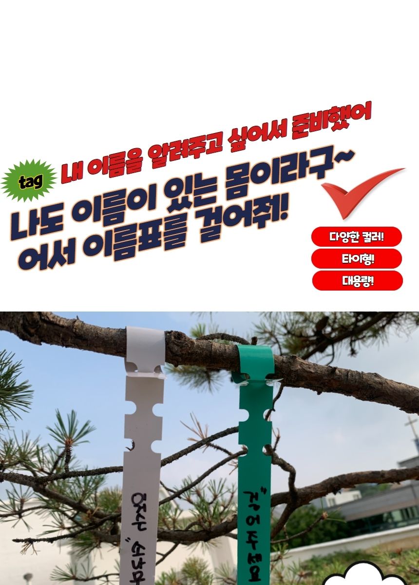 화단라벨 타이형 식물 태그 라벨 이름표 100P/화분픽/화분용픽/원예픽/이름표/다육이름표/화분이름표/미니