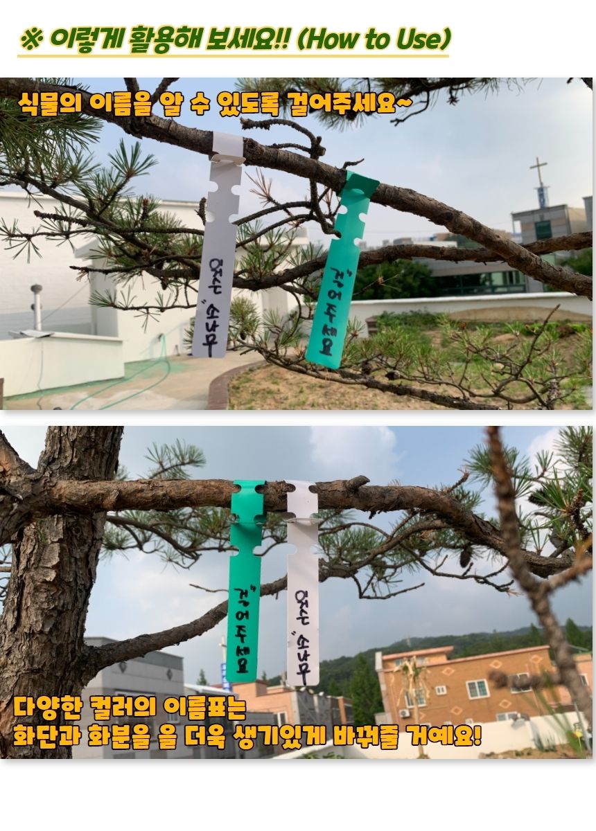 화단라벨 타이형 식물 태그 라벨 이름표 100P/화분픽/화분용픽/원예픽/이름표/다육이름표/화분이름표/미니