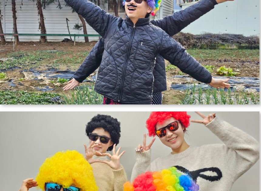 뽀글이가발 인생사진 네컷 폭탄 뽀글머리 가발/재밌는선물/파티/코스프레스타일/코스프레패션/행사용품/캐