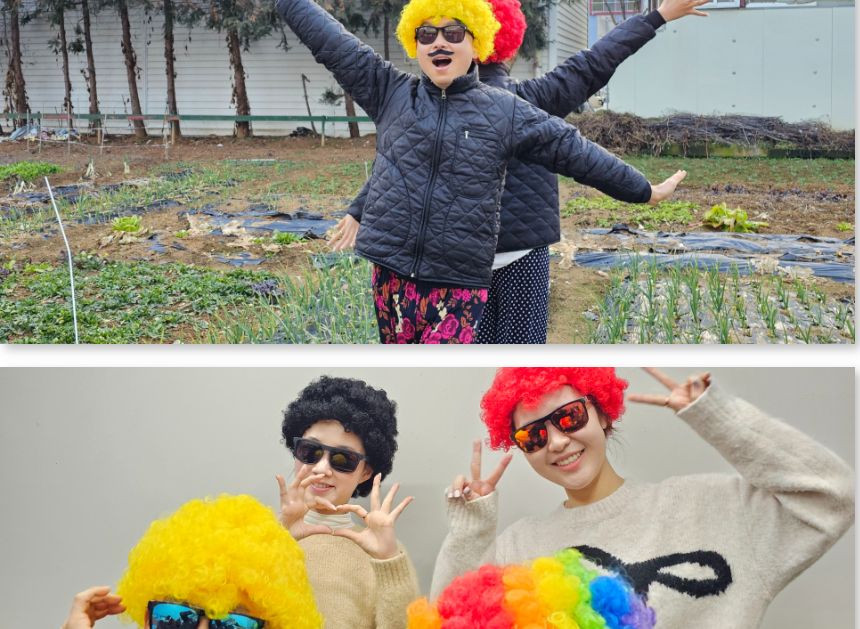 폭탄머리가발 인생사진 네컷 폭탄 뽀글머리 가발/재밌는선물/파티/코스프레스타일/코스프레패션/행사용품/