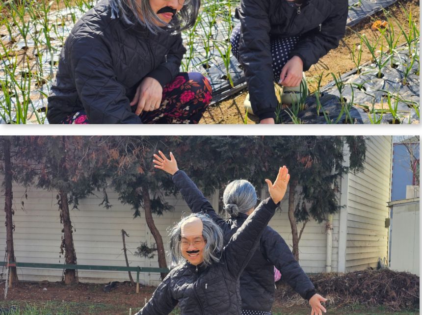 마빡이가발 직모머리 마빡이 대머리 가발/코믹소품/가면/가발/게임용품/파티용소품/생일파티용품/파티용가