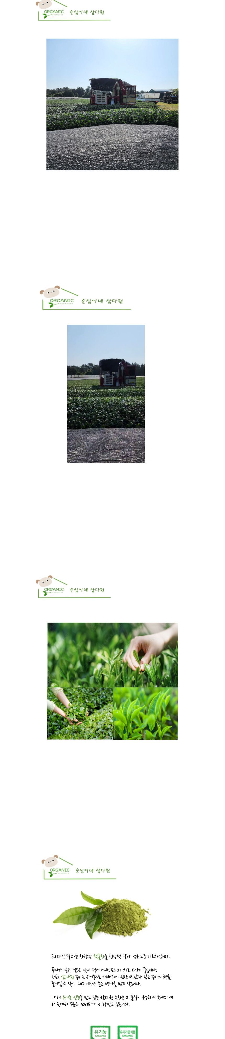 첫물 가루녹차 제주오가닉말차가루 100g 선물 포장용/제주산말차가루/말차라떼/말차빙수/녹차라떼/녹차빙수