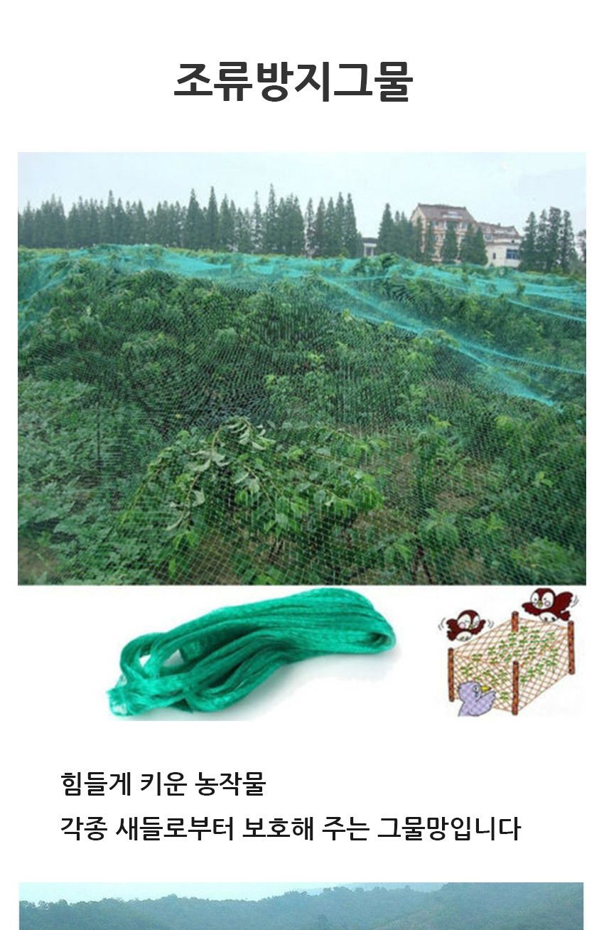 새방지 과수보호 그물 2M x 10M 조류방지 새그물/안티버드/조류방지/조류쫓기/방조망/새방지/새쫓기/안티버
