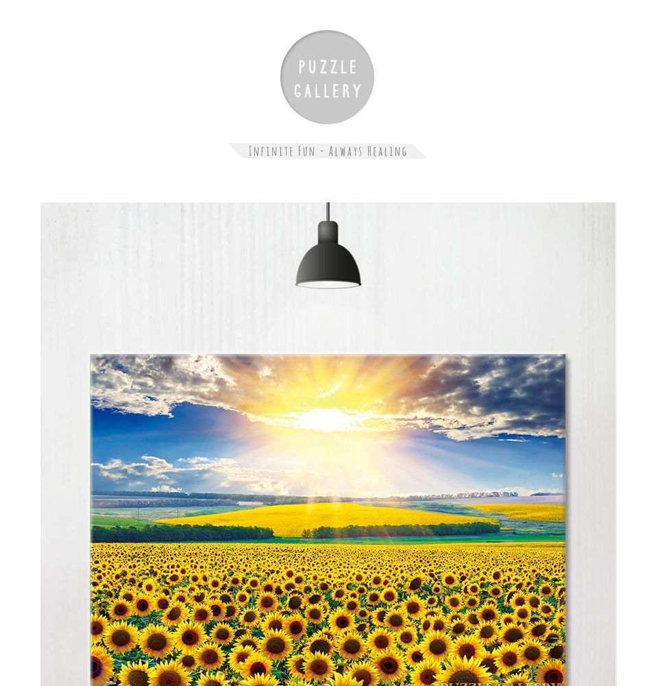 500피스 해바라기 들판 5 PL874/풍경화퍼즐/풍경그림퍼즐/퍼즐/사진퍼즐/직소퍼즐/그림퍼즐/취미용퍼즐/종