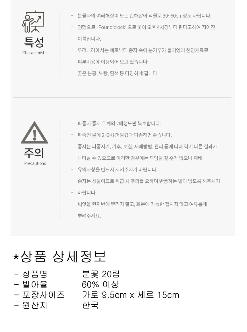 씨앗팜 정원 야생화 꽃씨 종자 분꽃 씨앗판매 20립/씨/씨앗/꽃씨/꽃씨앗/야생화씨/야생화씨앗/정원가꾸기/