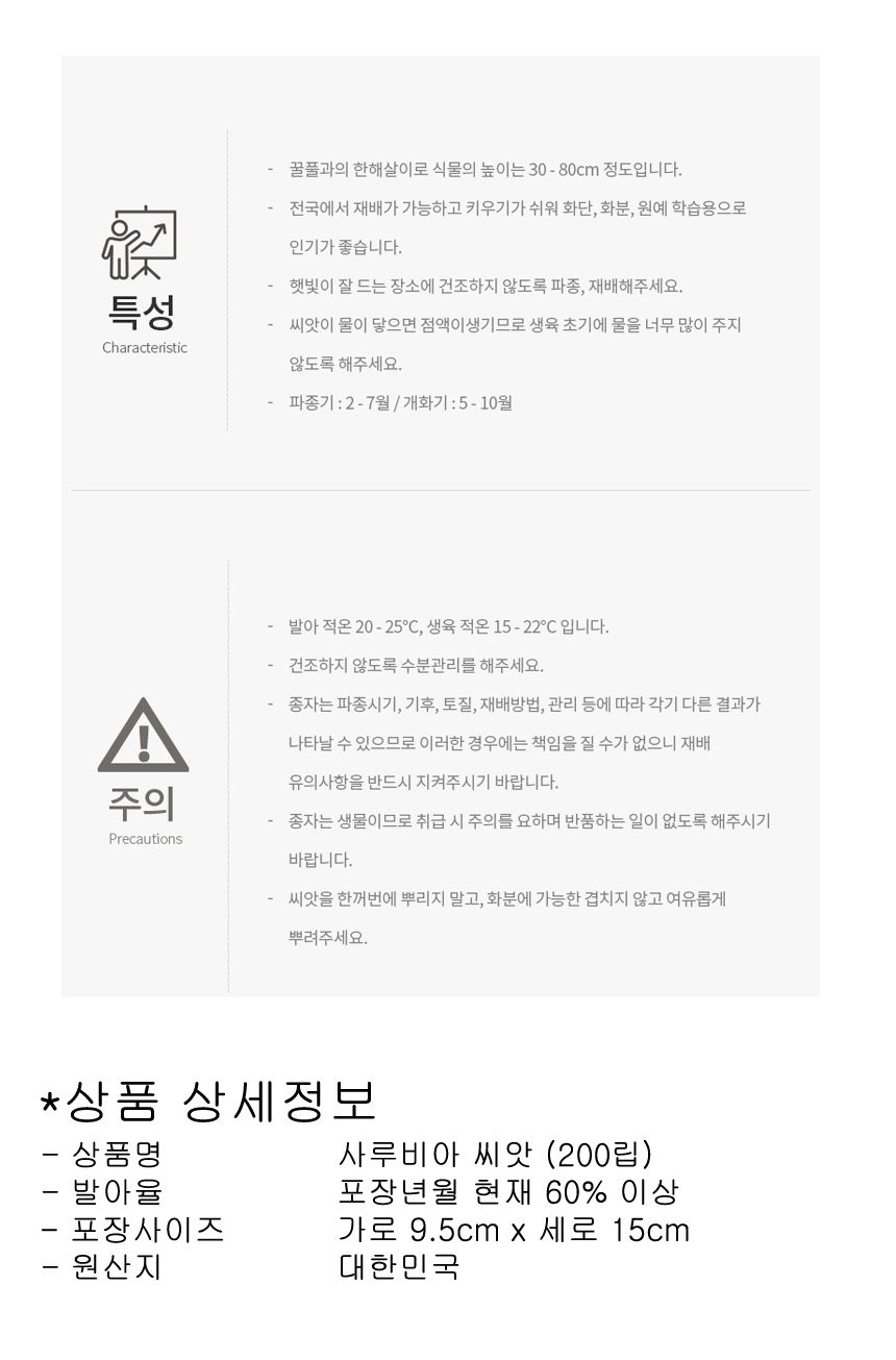 씨앗 야생화 종자 꽃씨 깨꽃 사루비아 키우기 200립/씨/씨앗/꽃씨/꽃씨앗/야생화씨/야생화씨앗/정원가꾸기/