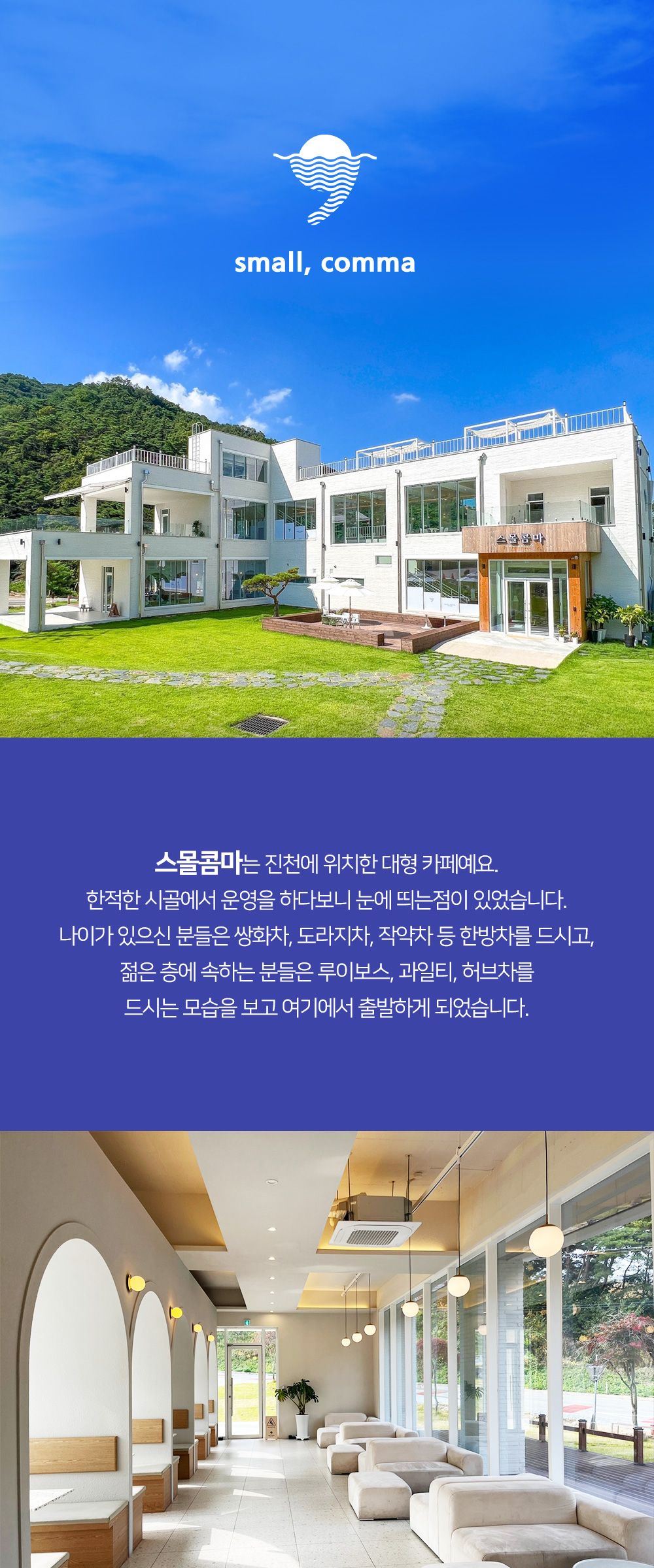 태극삼/인삼/녹차인삼차/수국보스차/콤부차/수국차/홍삼차/전통차/인삼차목함/꽃차/고려인삼차/인삼차100포