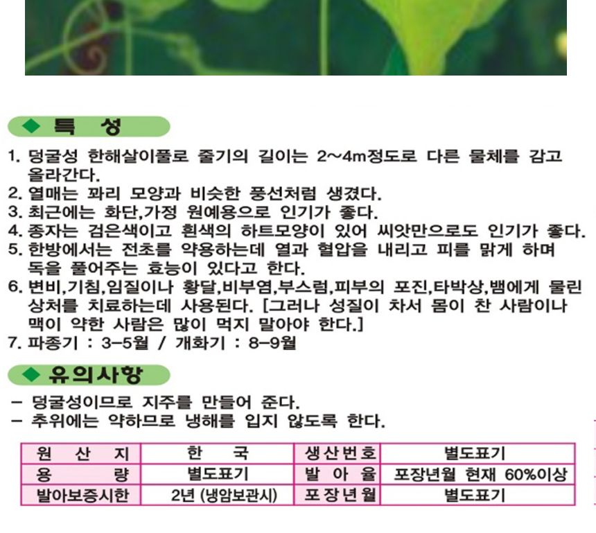 덩굴 풍선초 야생화 꽃씨 식물 종자 씨앗 품종 10립/야생화씨/야생화씨앗/풍선초씨앗/씨앗모종/씨앗재배/씨