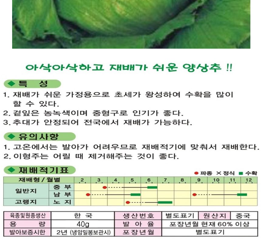 양상추 상추 야채 채소 식물 씨 종자 품종 씨앗 40g/씨앗/파종/모종/모종심기/식물키우기/실내정원/씨앗모
