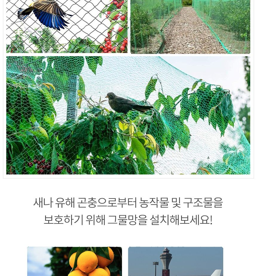 망 보호 참새 비둘기2x10M 새 방조망 그물 농작물/새그물망/조류망/비둘기그물망/대형새그물/참새그물/고라