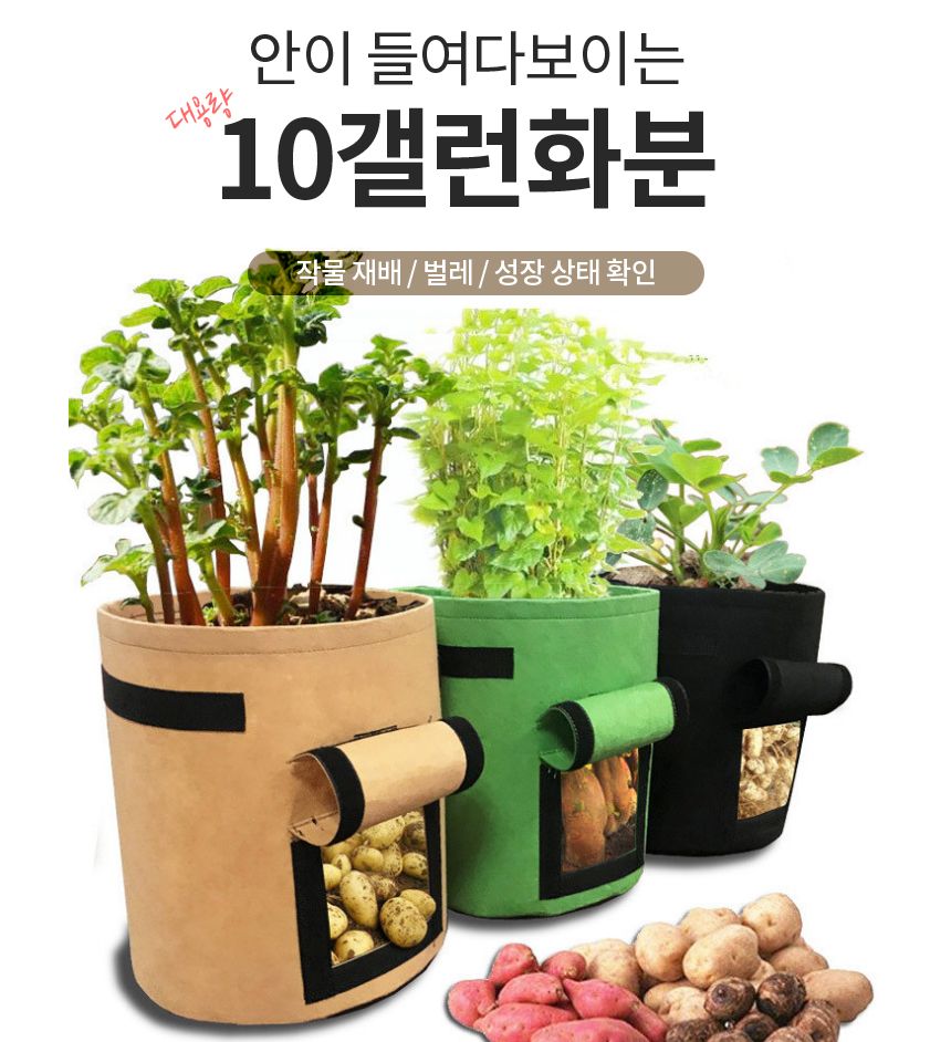 부직포 고구마 10갤런 40x30 텃밭 키우기 화분 베란다/베란다텃밭/대파키우기/집에서대파키우기/텃밭가꾸기